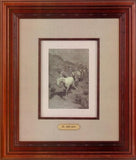 The Bell Mare 1904