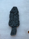 Margaret Jacobs Morel pin No Discount